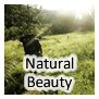 Natural Beauty